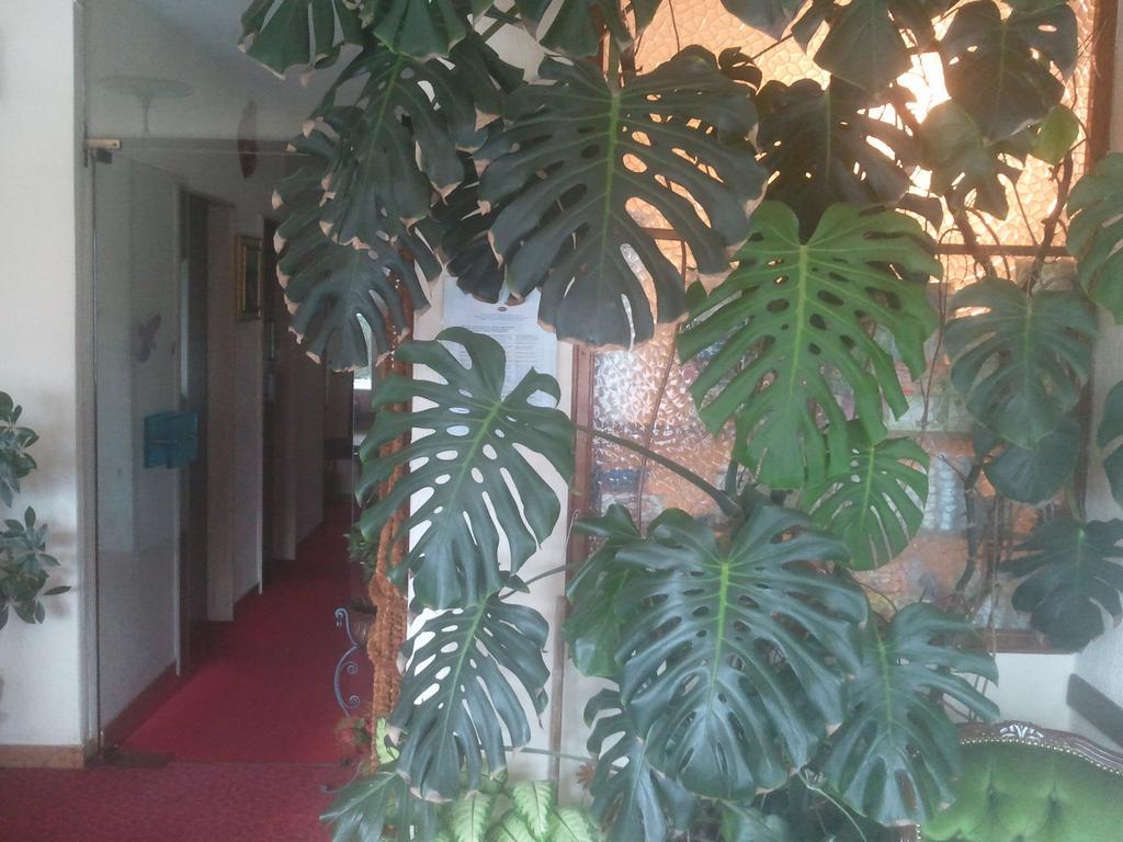 Hotel Lux Мерано Екстер'єр фото